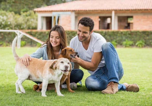 a couple is petting dogs and having fun outdoors